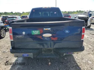 2011 Ford F-150 XL with VIN 1FTFX1ET5BFC44919, listed as a Copart auction lot 58514555 with 166,500 mi miles and Salvage title. Bid and sale history available at DreamBid. Image 6.