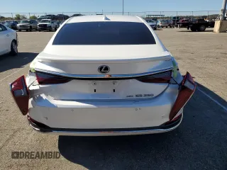 2022 Lexus ES 250 with VIN 58AD11D14NU008856, listed as a Copart auction lot 73984234 with 40,541 mi miles and Salvage title. Bid and sale history available at DreamBid. Image 6.