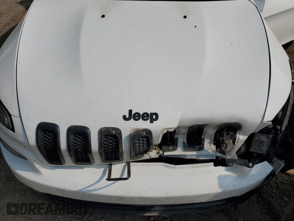 2016 Jeep Cherokee Limited with VIN 1C4PJMDS0GW315824, listed as a Copart auction lot 59750945 with 126,553 mi miles and Clean title. Bid and sale history available at DreamBid. Image 12.