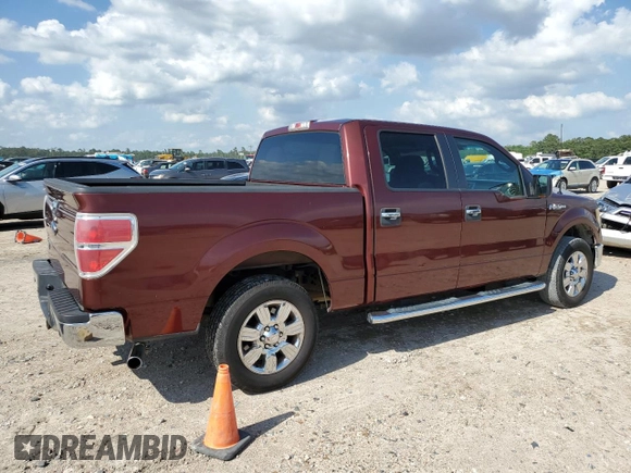 2010 Ford F-150 XL with VIN 1FTEW1C87AFD03660, listed as a Copart auction lot 53925855 with 252,174 mi miles and Clean Title. Bid and sale history available at DreamBid. Image 3.