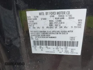 2010 Ford F-150 XL with VIN 1FTEX1E81AFA48403, listed as a IAAI auction lot 42499944 with 215,900 mi miles and . Bid and sale history available at DreamBid. Image 9.