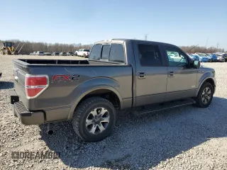 2013 Ford F-150 XL with VIN 1FTFW1CT8DKE91710, listed as a Copart auction lot 47856005 with 232,564 mi miles and Salvage Title. Bid and sale history available at carsss.com. Image 3.