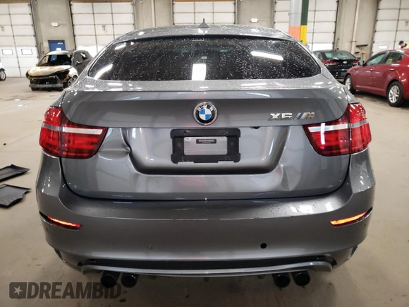 2013 BMW X6 M with VIN 5YMGZ0C5XDLL29831, listed as a Copart auction lot 54340225 with 117,503 mi miles and Salvage Title. Bid and sale history available at carsss.com. Image 6.