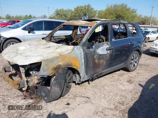 2021 Kia Telluride S with VIN 5XYP6DHC9MG177391, listed as a IAAI auction lot 41858649 with Not provided miles and . Bid and sale history available at DreamBid. Image 2.