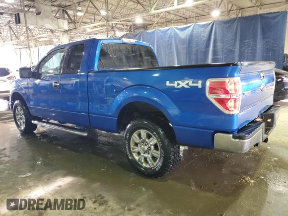 2010 Ford F-150 XL with VIN 1FTEX1E81AFC65403, listed as a Copart auction lot 46464375 with 205,244 mi miles and Clean Title. Bid and sale history available at carsss.com. Image 2.