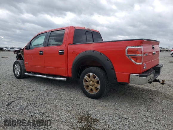 2013 Ford F-150 XL with VIN 1FTFW1CT9DKD58745, listed as a Copart auction lot 49869035 with 159,773 mi miles and Salvage Title. Bid and sale history available at carsss.com. Image 2.