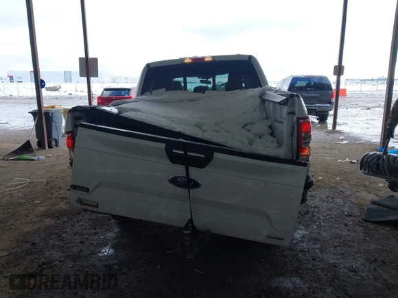 2019 Ford F-150 XL with VIN 1FTEW1CP7KKC75312, listed as a IAAI auction lot 41271422 with 135,228 mi miles and . Bid and sale history available at carsss.com. Image 16.