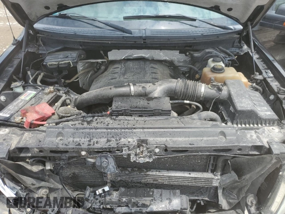 2013 Ford F-150 XL with VIN 1FTFX1ET0DFB38753, listed as a Copart auction lot 61244495 with 211,235 mi miles and Salvage title. Bid and sale history available at DreamBid. Image 11.