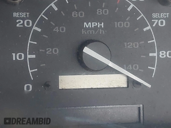 1994 Ford F-150 with VIN 1FTDF15Y0RLA09085, listed as a IAAI auction lot 42381949 with Not provided miles and . Bid and sale history available at DreamBid. Image 15.