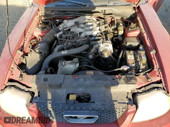 1999 Ford Mustang with VIN 1FAFP4446XF231749, listed as a Copart auction lot 73981604 with Not provided miles and Clean title. Bid and sale history available at DreamBid. Image 11.