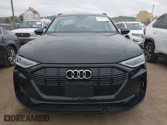 2021 Audi e-tron Premium Plus with VIN WA1LAAGEXMB019208, listed as a IAAI auction lot 41725933 with 51,565 mi miles and . Bid and sale history available at DreamBid. Image 12.