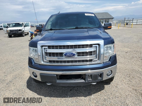 2013 Ford F-150 XL with VIN 1FTFX1ETXDKE12547, listed as a Copart auction lot 63470185 with 123,751 mi miles and Clean title. Bid and sale history available at DreamBid. Image 5.