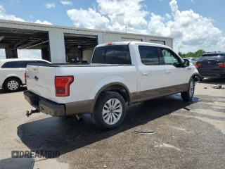 2015 Ford F-150 XL with VIN 1FTEW1CG5FKE08624, listed as a Copart auction lot 60282835 with 141,751 mi miles and Salvage title. Bid and sale history available at DreamBid. Image 3.