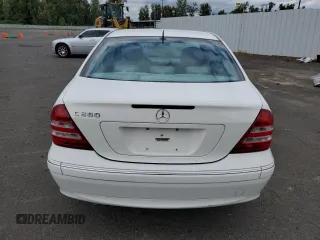 2006 Mercedes-Benz C with VIN WDBRF54J96A913217, listed as a Copart auction lot 60497924 with 219,657 mi miles and Salvage Title. Bid and sale history available at DreamBid. Image 6.