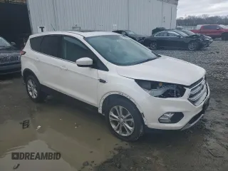 2017 Ford Escape SE with VIN 1FMCU0GD6HUC64348, listed as a Copart auction lot 49464525 with 82,273 mi miles and Salvage Title. Bid and sale history available at DreamBid. Image 4.