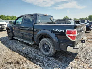 2010 Ford F-150 XL with VIN 1FTFW1EV9AFA81260, listed as a Copart auction lot 63248525 with 141,029 mi miles and Clean title. Bid and sale history available at DreamBid. Image 2.