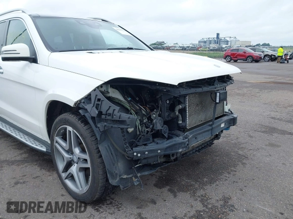 2017 Mercedes-Benz GLS 550 with VIN 4JGDF7DE2HA791695, listed as a IAAI auction lot 42507278 with 185,884 mi miles and . Bid and sale history available at DreamBid. Image 18.