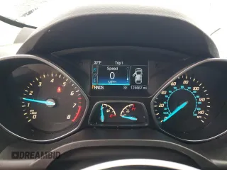 2016 Ford Escape SE with VIN 1FMCU9GX6GUB63100, listed as a Copart auction lot 47989985 with 124,667 mi miles and Clean Title. Bid and sale history available at carsss.com. Image 9.