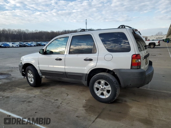 2005 Ford Escape XLT with VIN 1FMYU03135KA93616, listed as a Copart auction lot 50364865 with 210,884 mi miles and Salvage Title. Bid and sale history available at DreamBid. Image 2.
