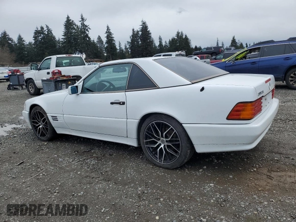 1991 Mercedes-Benz 300 with VIN WDBFA61E3MF015341, listed as a Copart auction lot 49173335 with 160,319 mi miles and Clean Title. Bid and sale history available at DreamBid. Image 2.