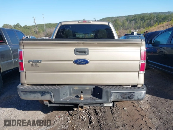 2010 Ford F-150 XL with VIN 1FTEW1C88AFA10043, listed as a IAAI auction lot 41764767 with 222,301 mi miles. Bid and sale history available at carsss.com. Image 16.