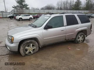 2005 Chevrolet TrailBlazer LT with VIN 1GNDT13S052362358, listed as a Copart auction lot 81550014 with 258,429 mi miles and Clean Title. Bid and sale history available at DreamBid. Image 1.