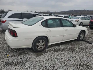 2005 Chevrolet Impala LS z VIN 2G1WH52K459106293, wystawiony jako Copart lot #81150984 z przebiegiem Nie podano mil oraz Szkoda całkowita • Salvage title. Historia ofert i sprzedaży dostępna na DreamBid. Obrazek 3.