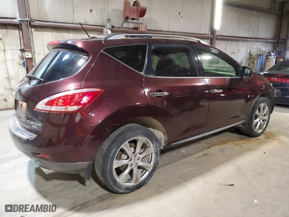 2014 Nissan Murano S with VIN JN8AZ1MW9EW502349, listed as a Copart auction lot 74286594 with 133,811 mi miles and Salvage Title. Bid and sale history available at carsss.com. Image 3.