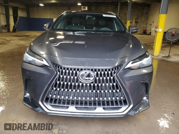 2024 Lexus NX 350 Premium with VIN 2T2GGCEZ7RC051044, listed as a Copart auction lot 59289795 with 9,769 mi miles and Salvage title. Bid and sale history available at DreamBid. Image 5.