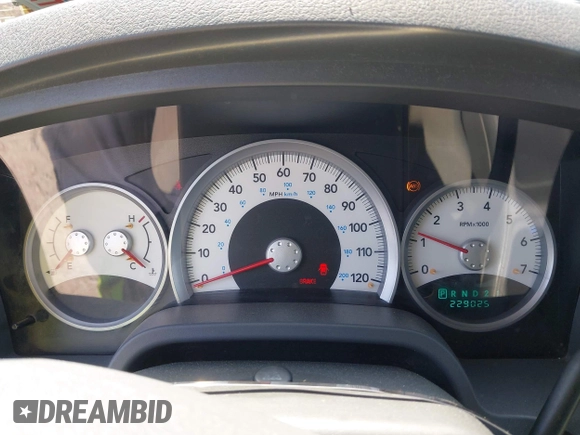 2005 Dodge Dakota SLT with VIN 1D7HW48N05S113487, listed as a IAAI auction lot 42029813 with 229,025 mi miles. Bid and sale history available at carsss.com. Image 7.