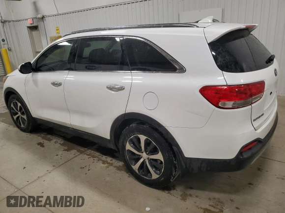 2017 Kia Sorento EX V6 with VIN 5XYPH4A58HG248236, listed as a Copart auction lot 48732165 with 146,353 mi miles and Clean Title. Bid and sale history available at carsss.com. Image 2.