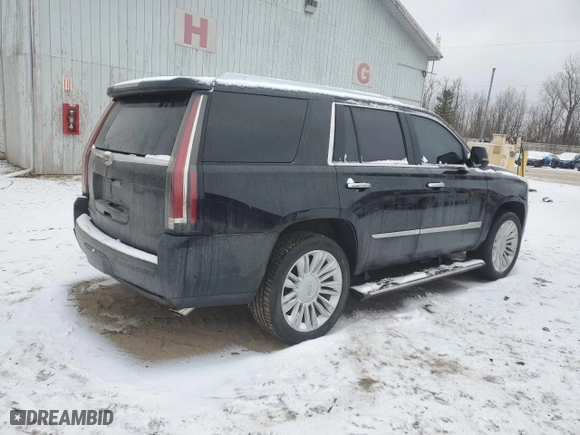 2017 Cadillac Escalade Platinum with VIN 1GYS4DKJ9HR207272, listed as a Copart auction lot 44024135 with 92,820 mi miles and Clean Title. Bid and sale history available at carsss.com. Image 3.