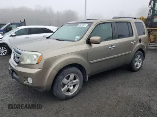 2009 Honda Pilot EX-L with VIN 5FNYF48509B027772, listed as a Copart auction lot 50428025 with 167,213 mi miles and Clean Title. Bid and sale history available at carsss.com. Image 1.