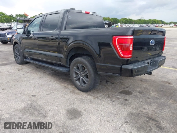2023 Ford F-150 XL with VIN 1FTEW1C52PFA90311, listed as a IAAI auction lot 42192960 with Not Provided miles and . Bid and sale history available at DreamBid. Image 3.
