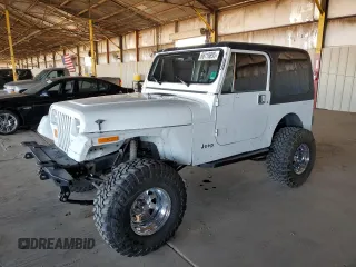 1989 Jeep Wrangler with VIN 2J4FY29T8KJ168644, listed as a Copart auction lot 66119895 with 142,476 mi miles and Salvage title. Bid and sale history available at DreamBid. Image 1.
