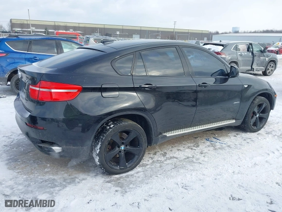 2010 BMW X6 50i with VIN 5UXFG8C55ALZ94803, listed as a IAAI auction lot 41387175 with 114,426 mi miles. Bid and sale history available at carsss.com. Image 13.