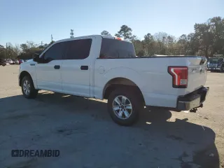 2017 Ford F-150 XL with VIN 1FTEW1CF3HFC04617, listed as a Copart auction lot 88091065 with 206,559 mi miles and Salvage title. Bid and sale history available at DreamBid. Image 2.