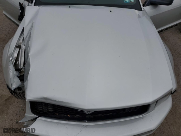 2005 Ford Mustang Deluxe with VIN 1ZVFT80N055258473, listed as a Copart auction lot 51747695 with 117,444 mi miles and Salvage Title. Bid and sale history available at carsss.com. Image 11.