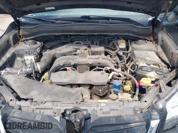 2017 Subaru Forester with VIN JF2SJAAC0HG583162, listed as a IAAI auction lot 42682218 with 128,224 mi miles and . Bid and sale history available at DreamBid. Image 10.