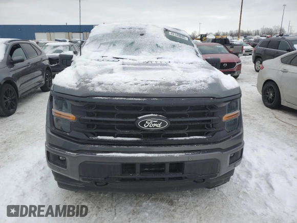 2024 Ford F-150 XLT with VIN 1FTFW3LD4RFA64867, listed as a Copart auction lot 45149695 with 3,869 mi miles and Clean Title. Bid and sale history available at carsss.com. Image 5.