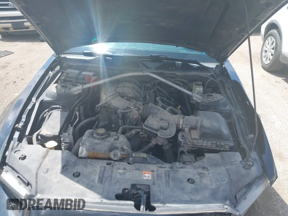 2014 Ford Mustang V6 с VIN 1ZVBP8EM5E5243910, выставлен на аукционе IAAI как лот 42648737 с пробегом 251 987 миль миль и . История ставок и продаж доступна на DreamBid. Изображение 10.