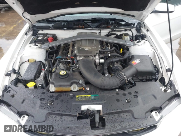 2010 Ford Mustang GT with VIN 1ZVBP8CH9A5104685, listed as a IAAI auction lot 41534828 with 82,771 mi miles and . Bid and sale history available at carsss.com. Image 10.