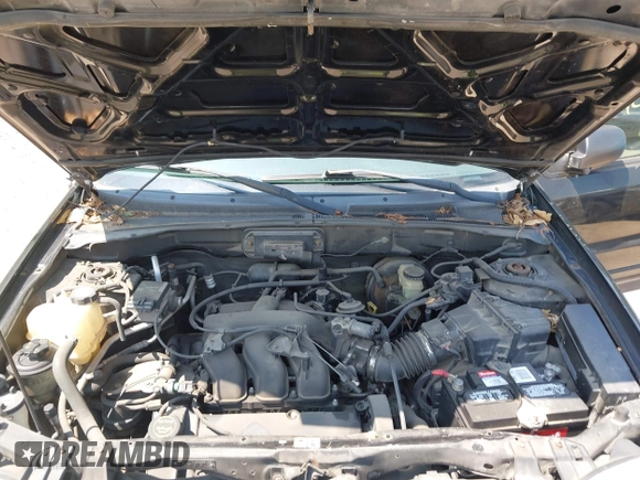 2003 Ford Escape Limited with VIN 1FMCU04113KB81019, listed as a IAAI auction lot 42415792 with 254,698 mi miles and . Bid and sale history available at DreamBid. Image 10.