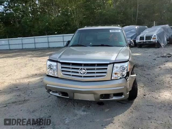 2002 Cadillac Escalade with VIN 1GYEK63N12R102443, listed as a Copart auction lot 53134135 with 241,389 mi miles and Non repairable. Bid and sale history available at DreamBid. Image 11.