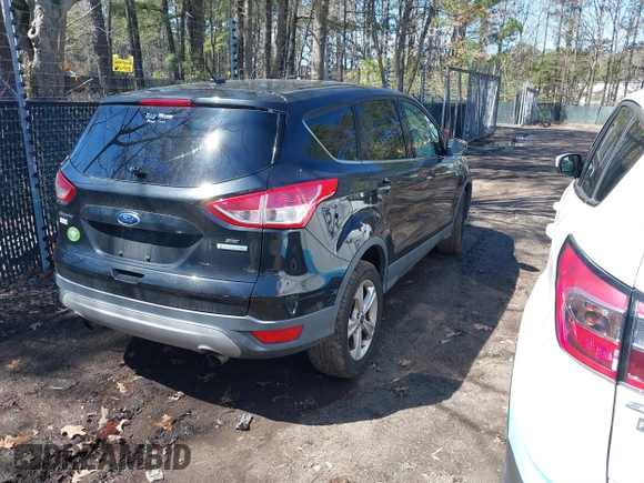 2014 Ford Escape SE with VIN 1FMCU0GXXEUE45586, listed as a IAAI auction lot 41813850 with 179,701 mi miles. Bid and sale history available at carsss.com. Image 4.