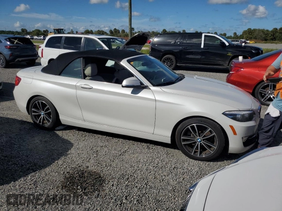 2020 BMW 2 Series 230i with VIN WBA2M7C02L7D87129, listed as a Copart auction lot 73876264 with 0 mi miles and Salvage Title. Bid and sale history available at carsss.com. Image 4.