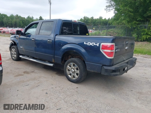 2013 Ford F-150 XL with VIN 1FTFW1ET0DFB16965, listed as a IAAI auction lot 42503215 with 194,637 mi miles and . Bid and sale history available at DreamBid. Image 3.