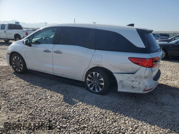 2024 Honda Odyssey EX-L с VIN 5FNRL6H65RB049073, выставлен на аукционе Copart как лот 54200195 с пробегом 8 080 миль миль и Списание • Salvage title. История ставок и продаж доступна на DreamBid. Изображение 2.