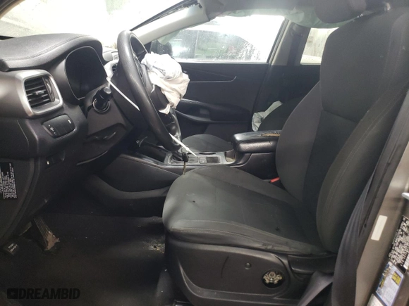 2017 Kia Sorento LX V6 with VIN 5XYPG4A55HG215021, listed as a Copart auction lot 45951735 with 233,749 mi miles and Clean Title. Bid and sale history available at carsss.com. Image 7.