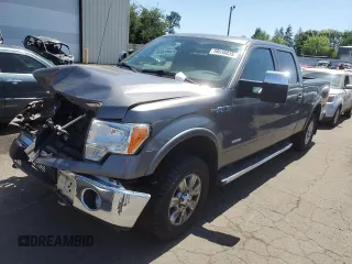 2012 Ford F-150 XL with VIN 1FTFW1ET2CFA45007, listed as a Copart auction lot 58638835 with 101,486 mi miles and Salvage title. Bid and sale history available at DreamBid. Image 1.